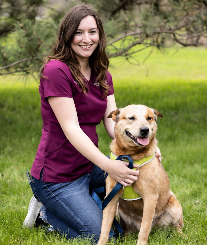 Veterinarians in Charlotte Charlotte MI Veterinarians